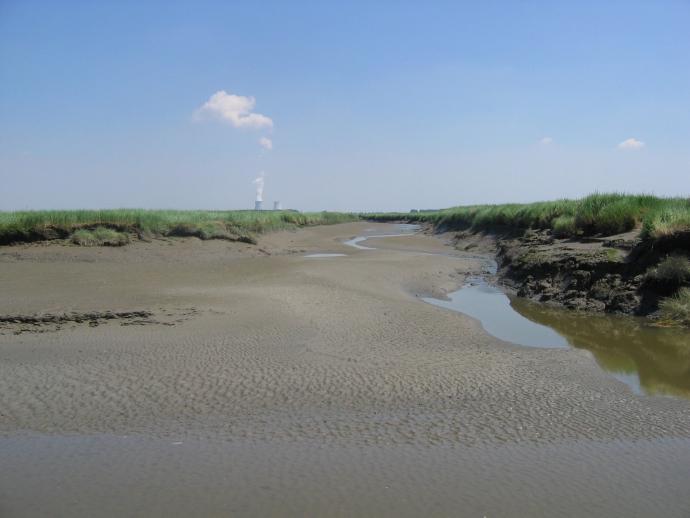 Natuur in de Schelde Delta met Doel op de achtergrond